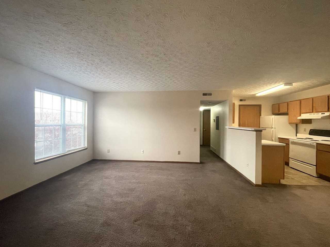 5393 Cypress Chase - Photo 3 of 20