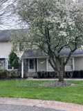 803 Bradford Ter - Photo 1 of 1