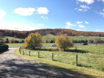 Arcadia Farm Rentals - Photo 1 of 1