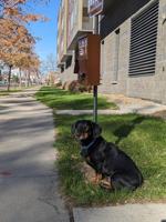 featured image of 305 5th Ave S