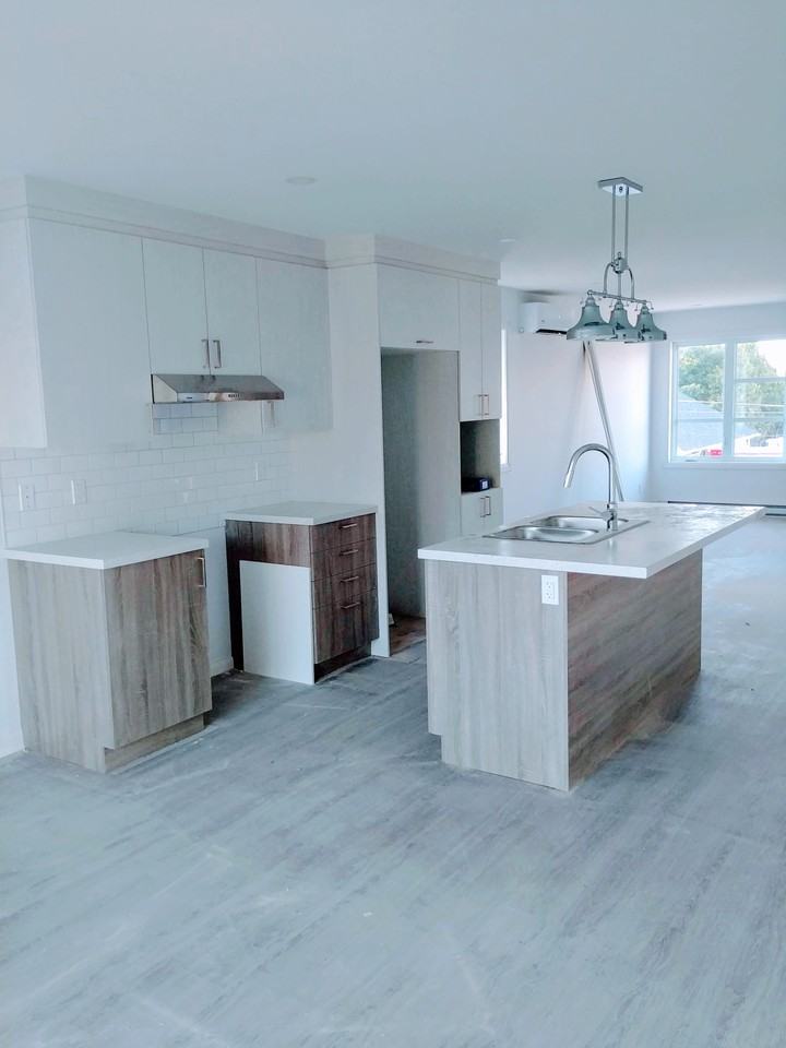 1234 Rue-Notre-Dame-de-Grâces #2 - Photo 2 of 9