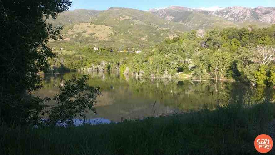 2779 N Hobbs Creek Dr - Photo 2 of 31