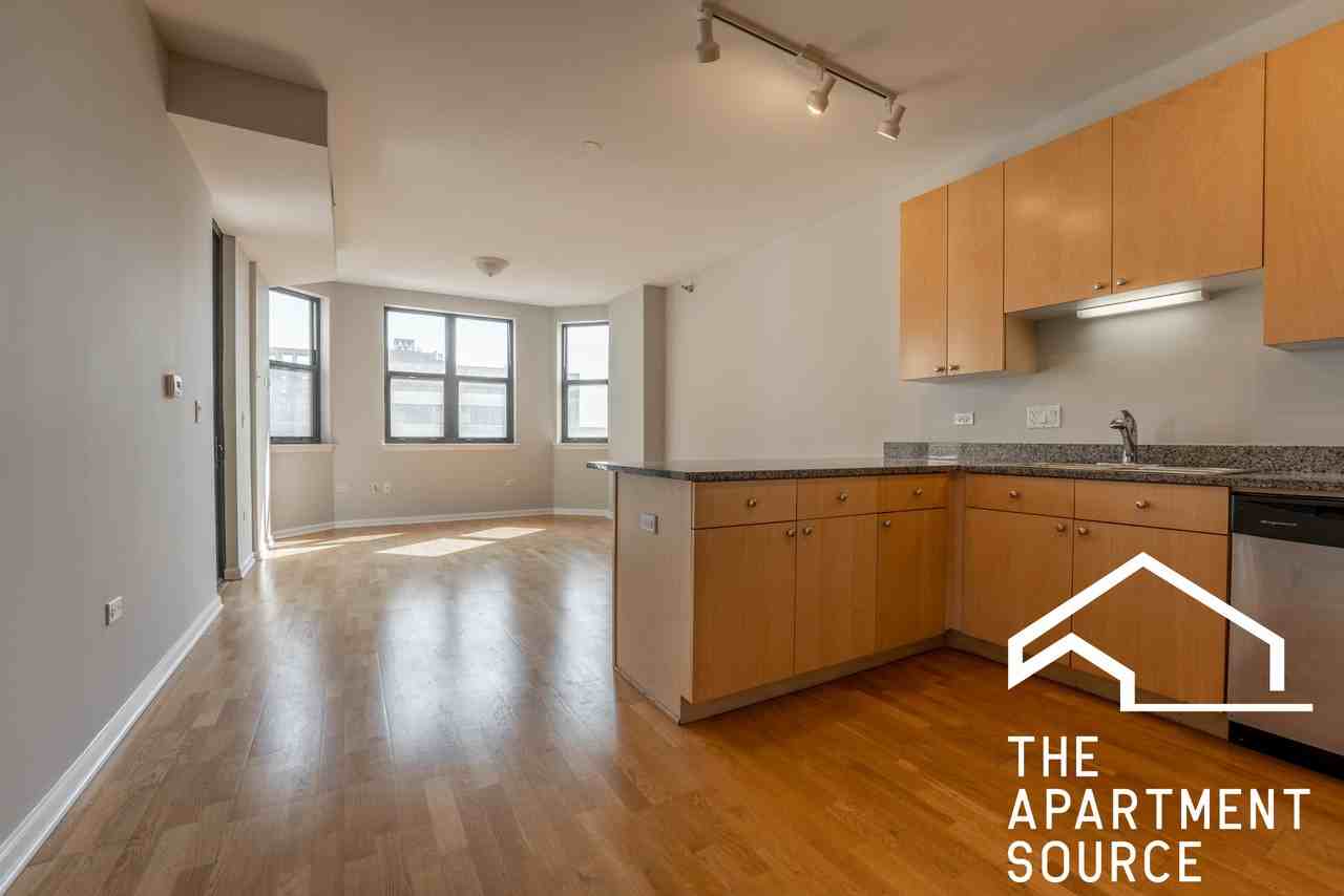 1464 S Michigan Ave #303 - Photo 5 of 26