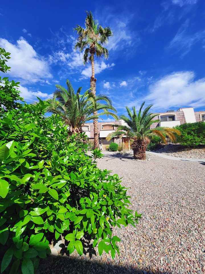 1740 Swanson Ave - Photo 2 of 15