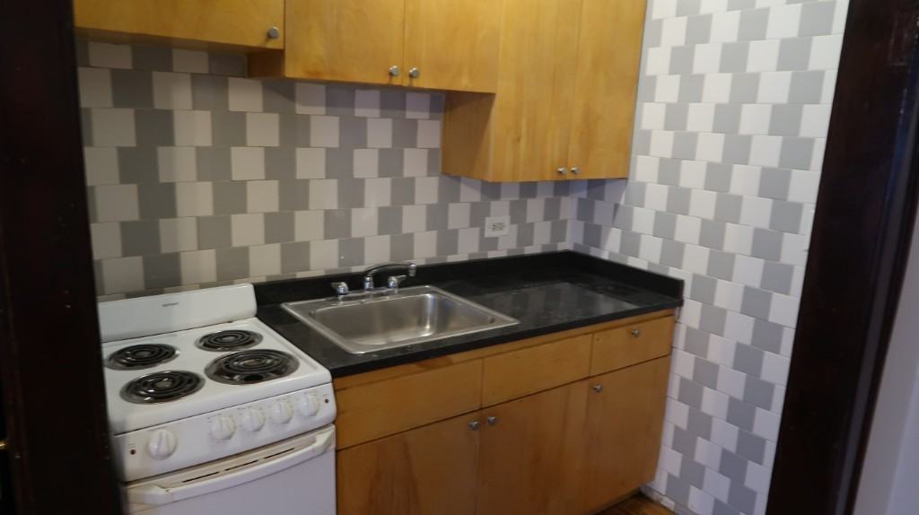 846 W Montrose Ave #503 - Photo 3 of 20