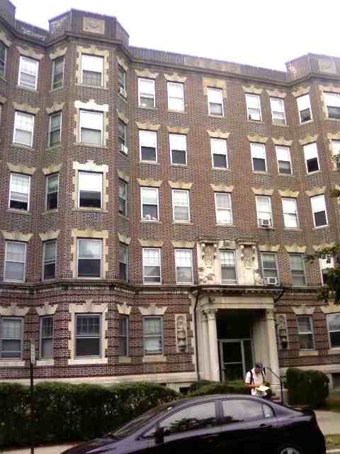 233 Park Drive - Photo 6 of 6