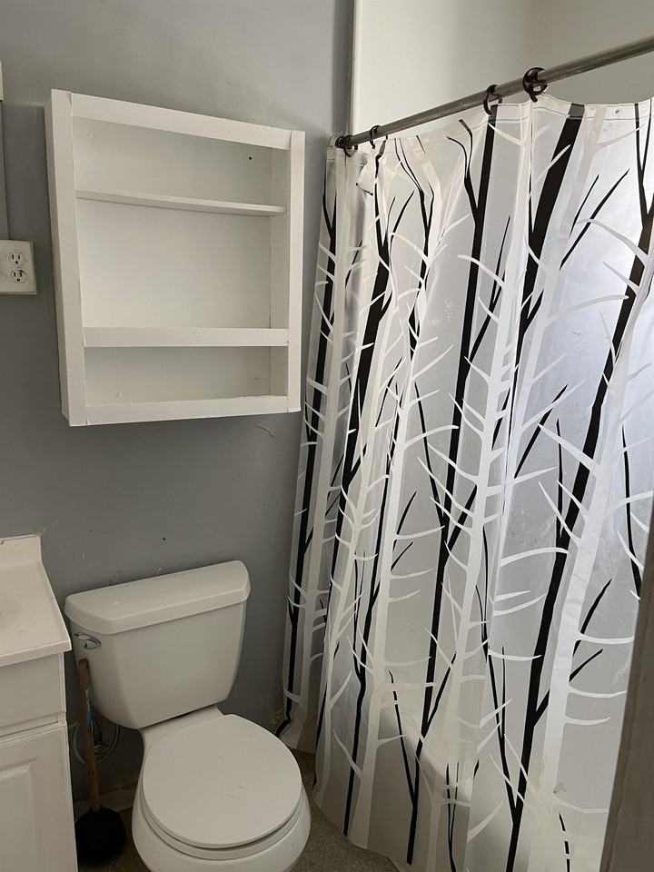 311 Carson Street - Photo 3 of 5