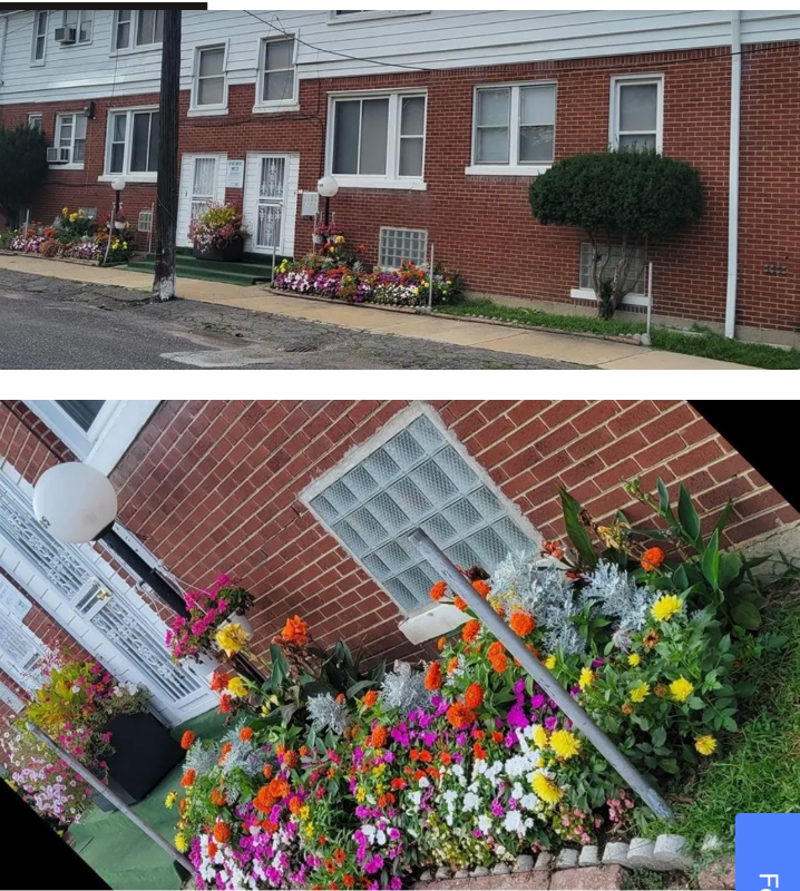 9105 Clarion St #3 - Photo 3 of 9