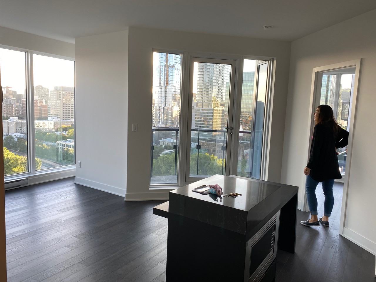 1288 Rue Saint-Antoine Ouest #2310 - Photo 3 of 26