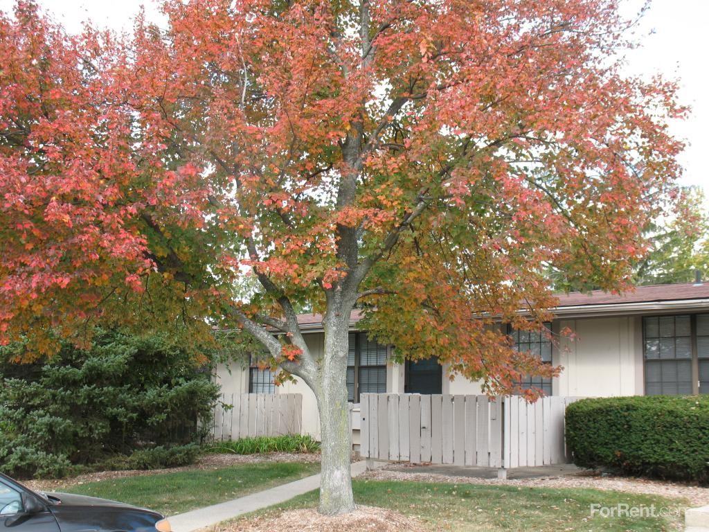 Charing Cross Apartments 1017 S Main St, Bowling Green, OH 43402 Zumper