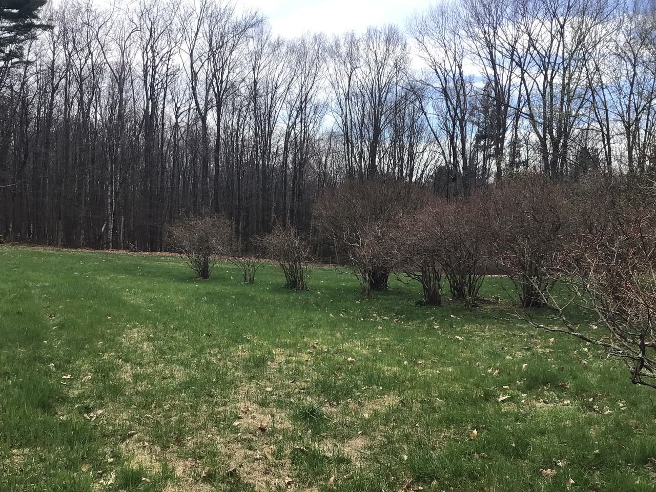 192 Roaring Brook Rd #NA - Photo 2 of 20