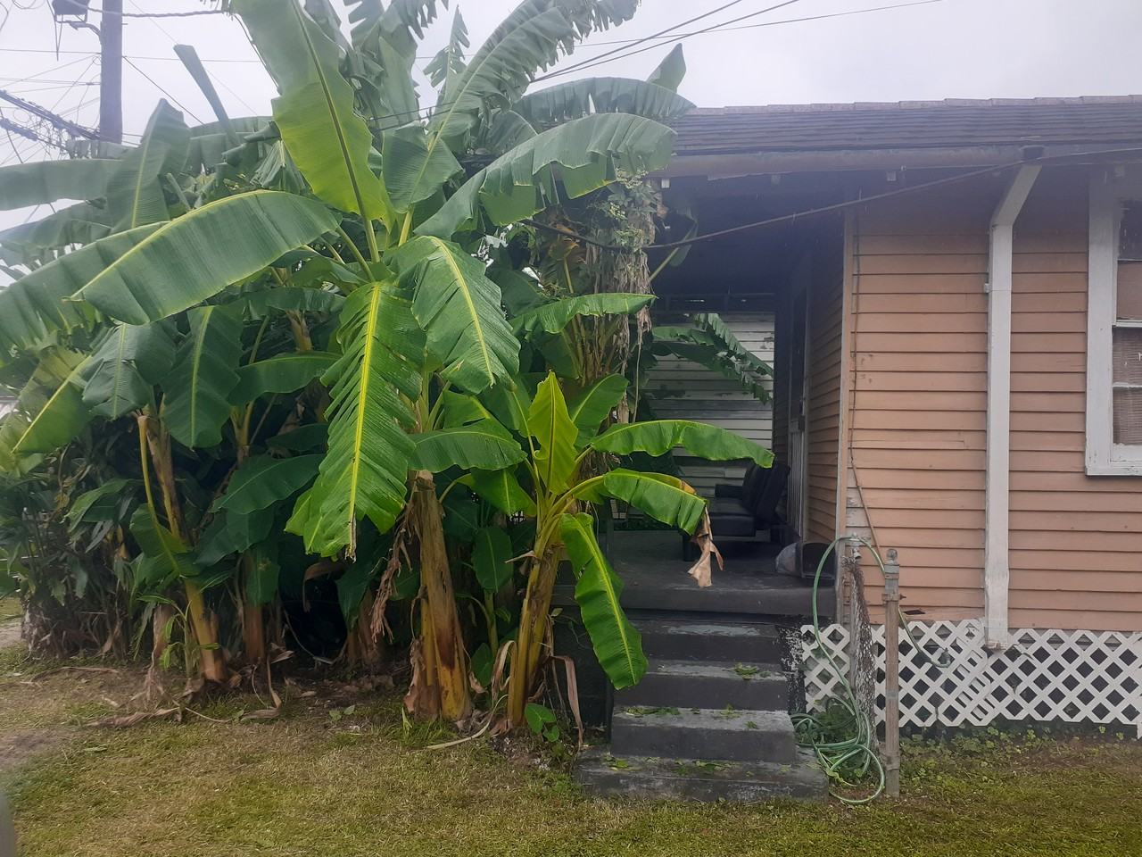 8627 Apple St #1 - Photo 6 of 15