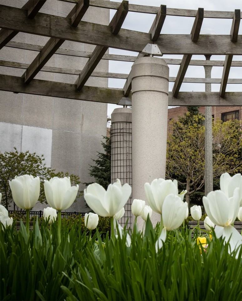 5958 N Kenmore - 304 #304 - Photo 4 of 8