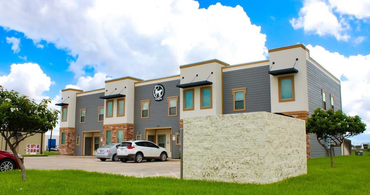 MONKEY - Photo 3 of 17