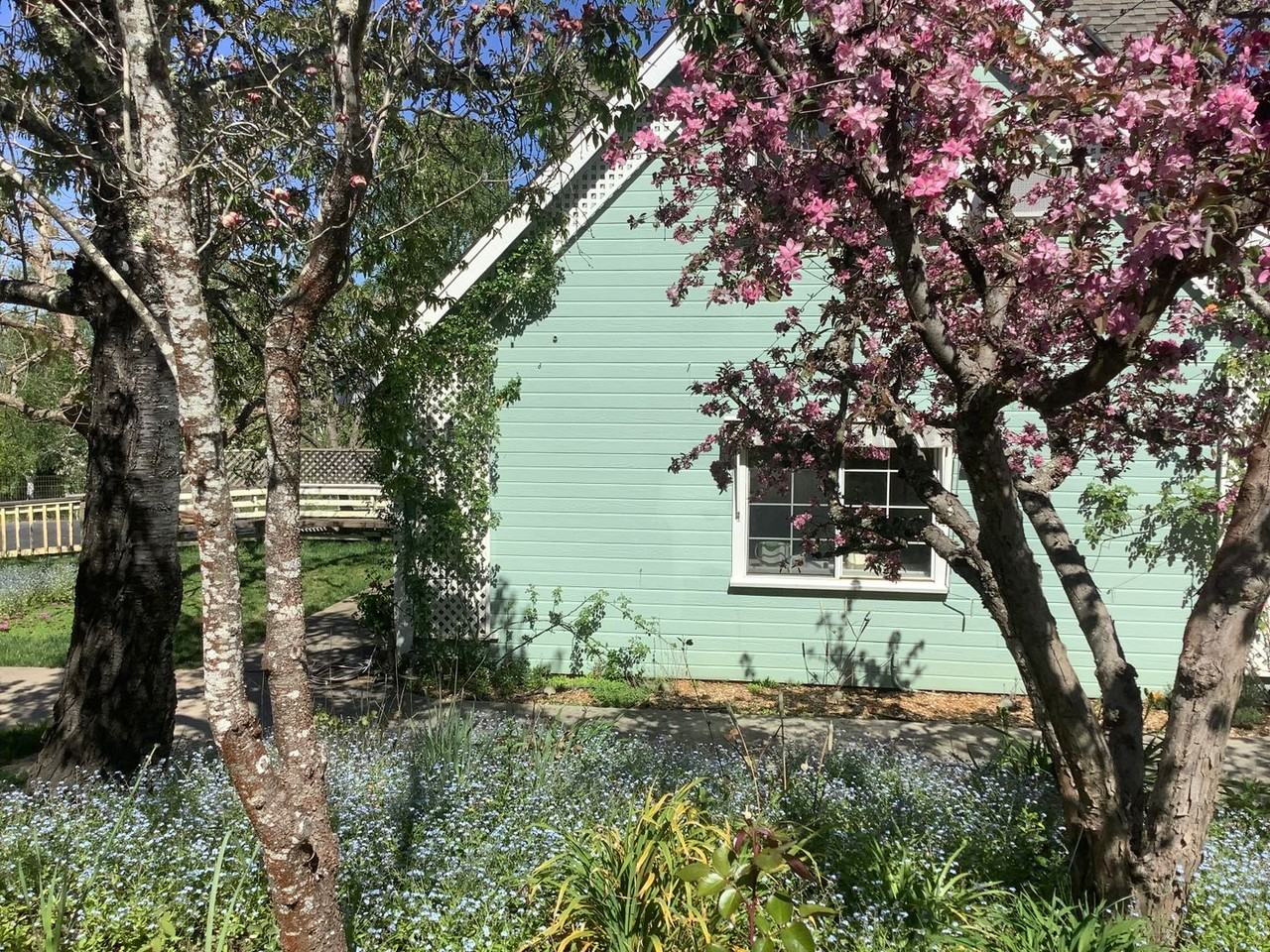 1122 Ferguson Rd - Photo 3 of 19