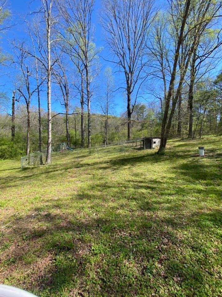 3447 Highway 255 N - Photo 2 of 39