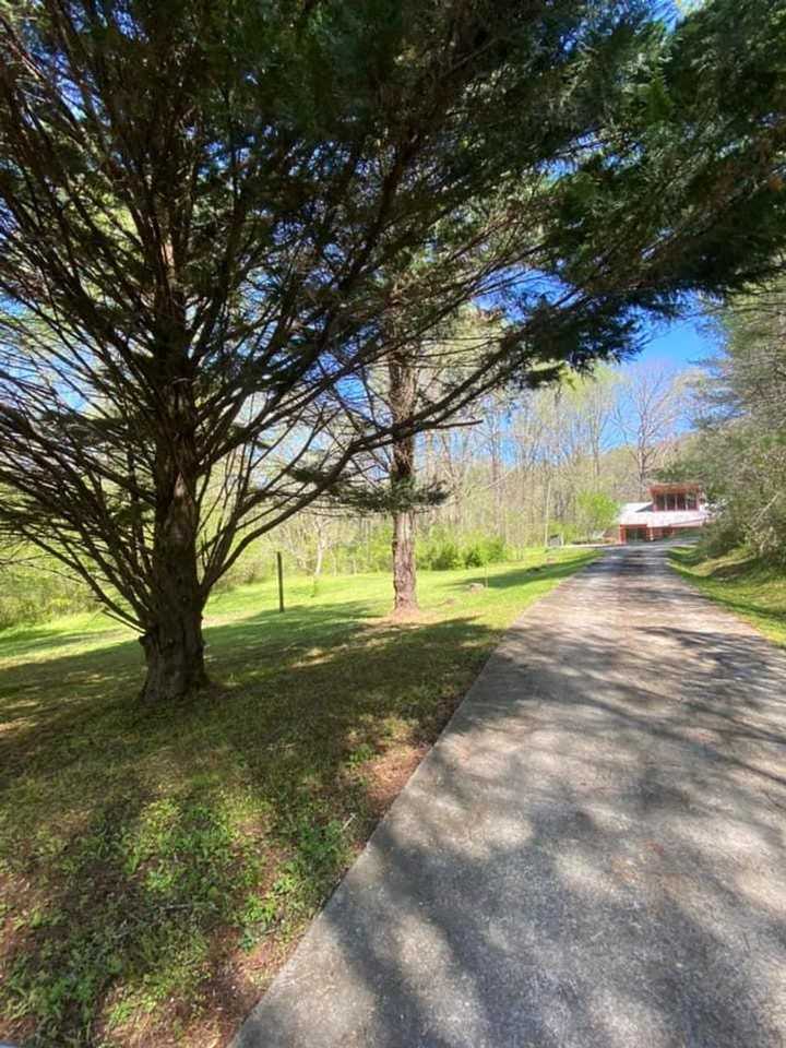 3447 Highway 255 N - Photo 3 of 39