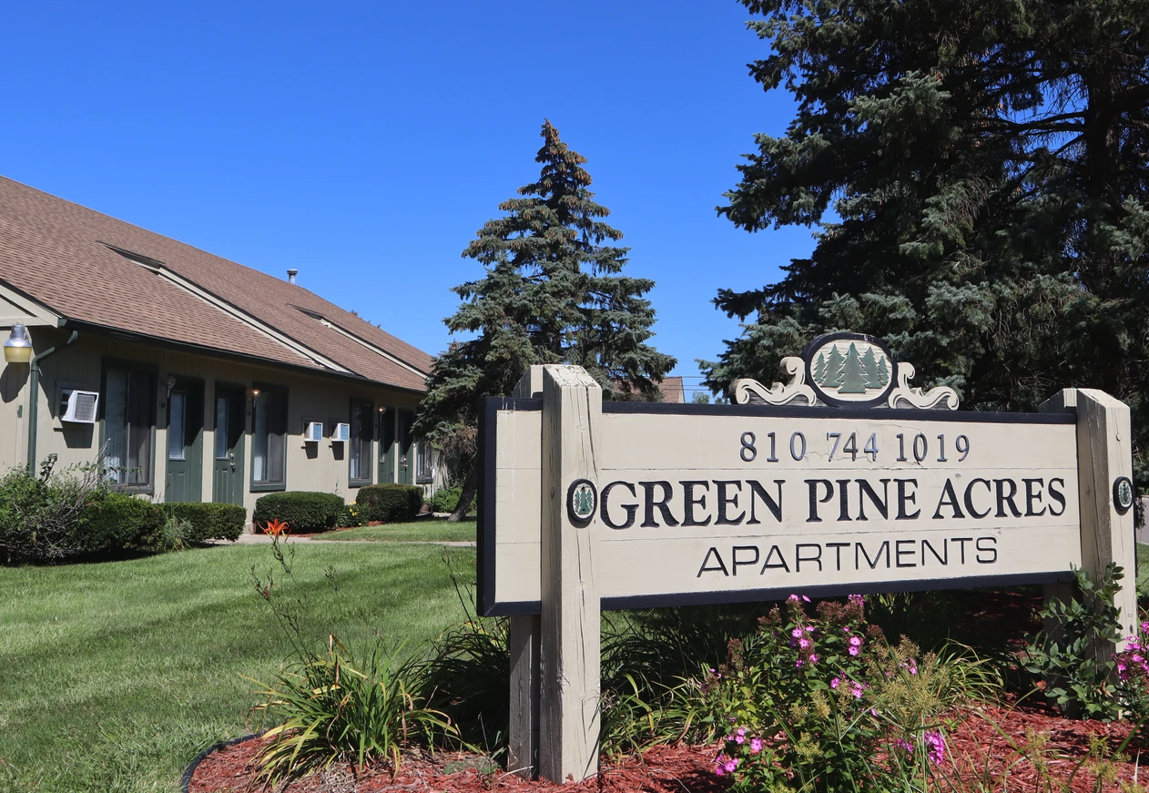 Green Pine - Photo 6 of 7