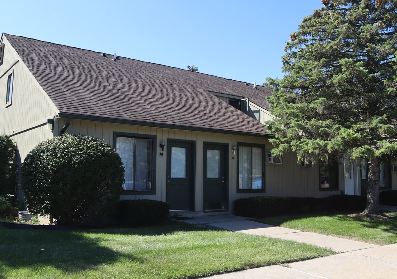 Green Pine - Photo 3 of 7