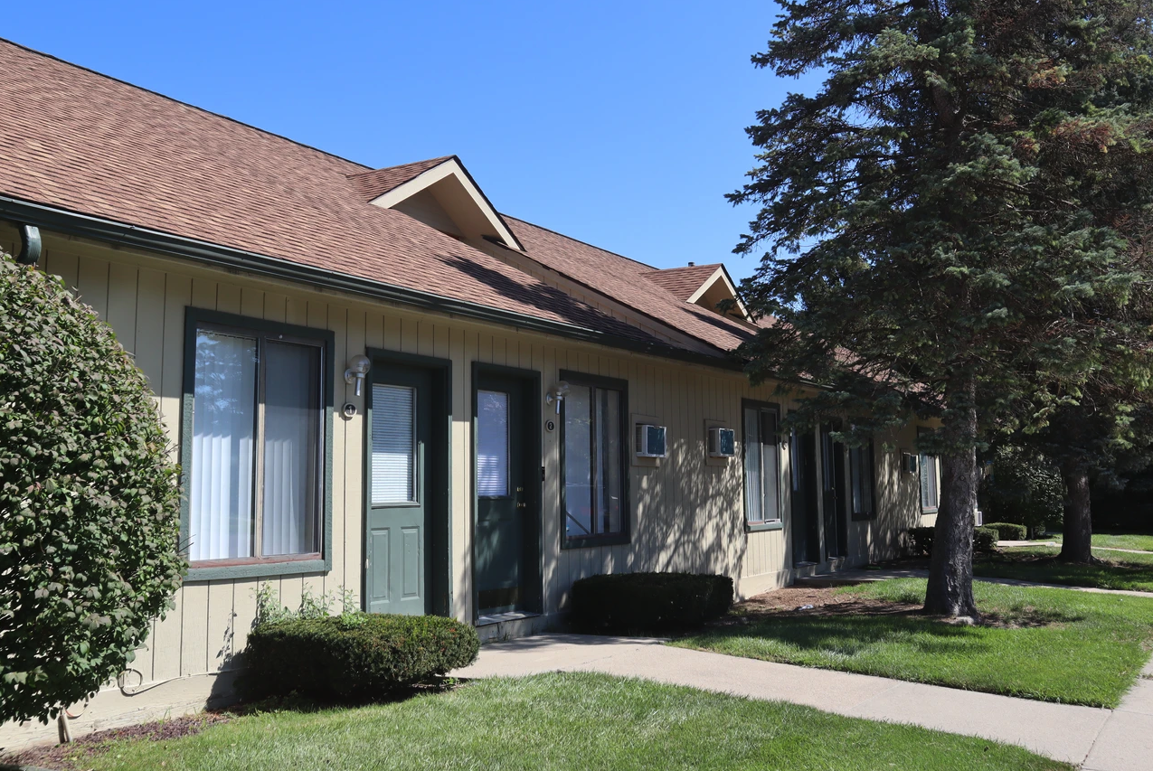 Green Pine - Photo 5 of 7