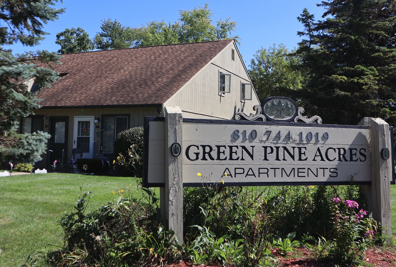 Green Pine - Photo 7 of 7