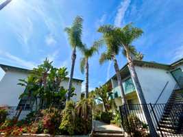 featured image of 1520 Eucalyptus Hill Rd