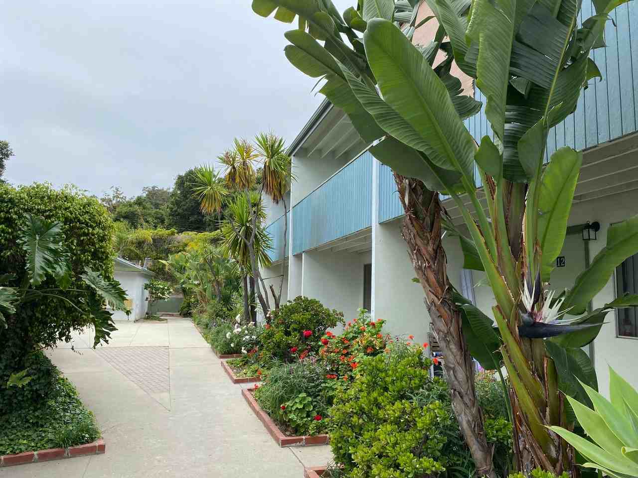 239 - E. Jerald Haws Revocable Family Trust (Eucalyptus) - Photo 3 of 4