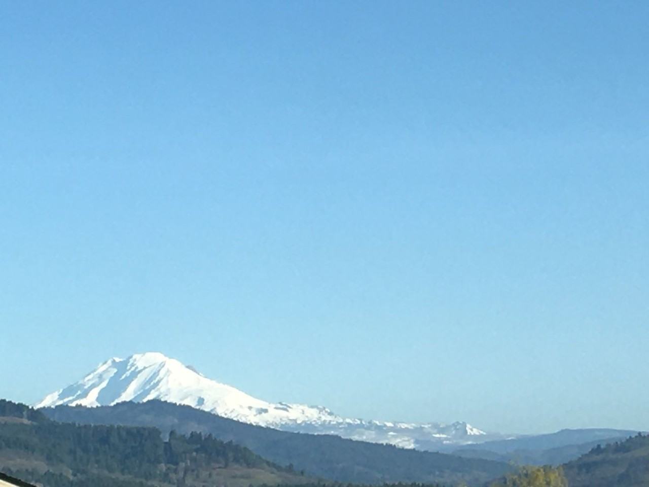 2925 Talon Ave - Photo 2 of 9