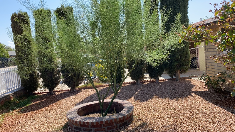 7116 Orange Tree Ln - Photo 3 of 24