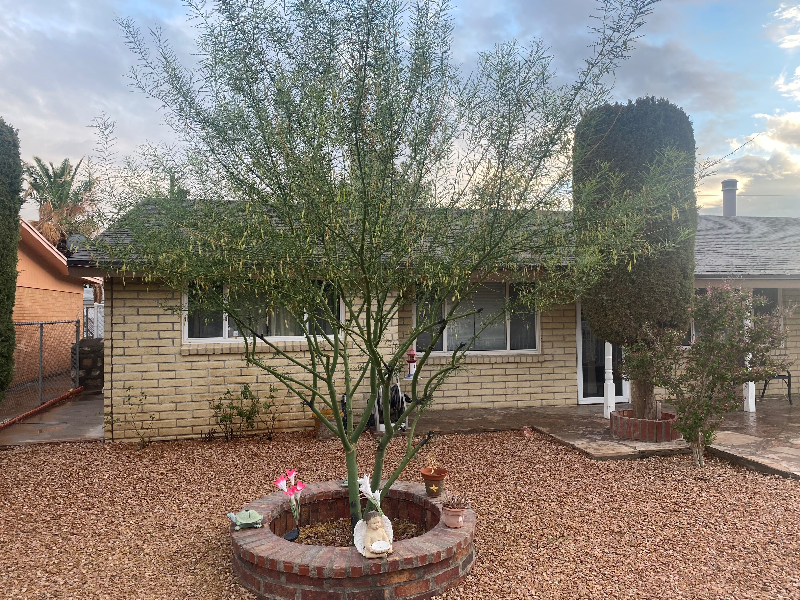 7116 Orange Tree Ln - Photo 5 of 24