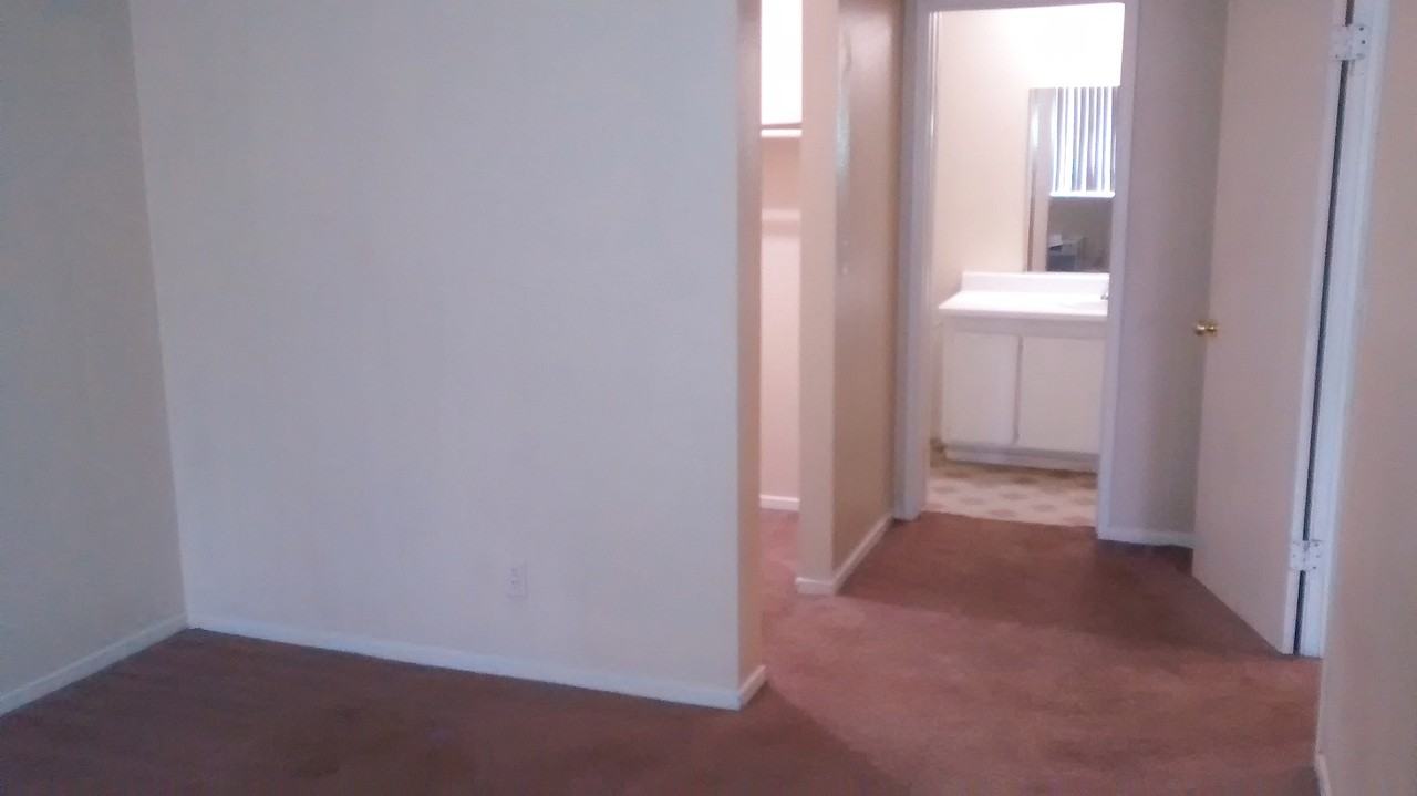 Charleston - Photo 2 of 5