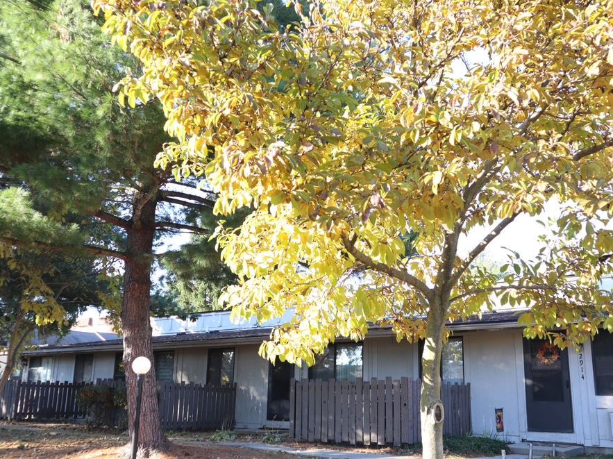 Meadowood - Photo 5 of 6