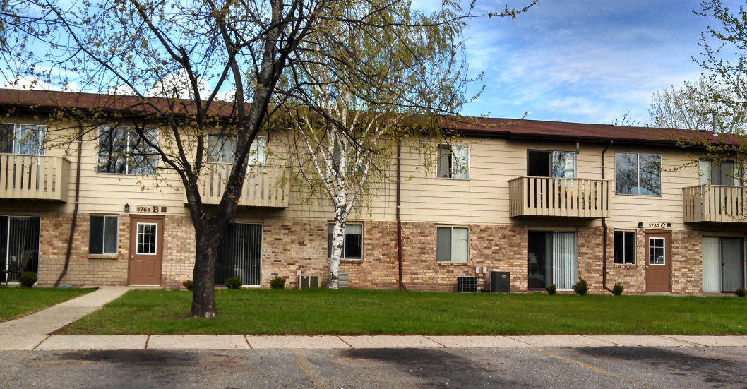 Olive Tree - Photo 5 of 5