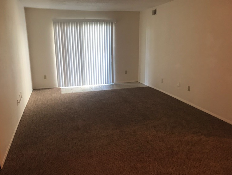 Olive Tree - Photo 4 of 5