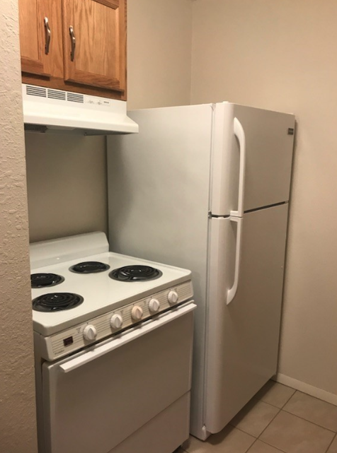 Olive Tree - Photo 2 of 5