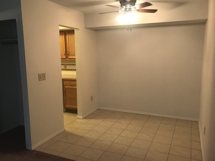 Olive Tree - Photo 3 of 5