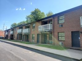 featured image of 281 Needy Rd