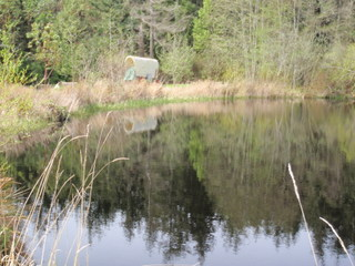 5248 Cloudstone Ln #B - Photo 3 of 23