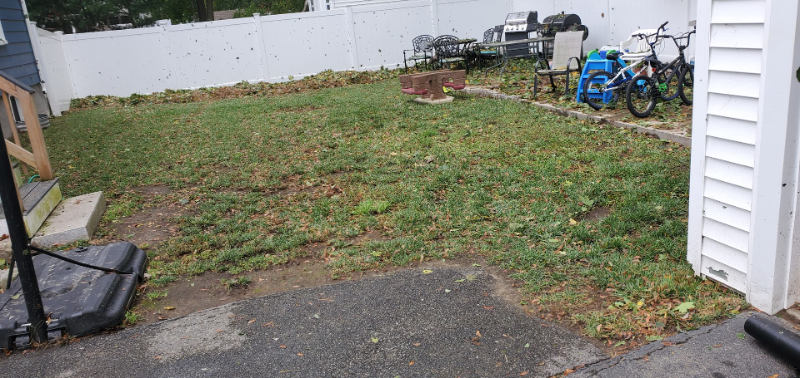 25 Gold St #1 - Photo 3 of 11