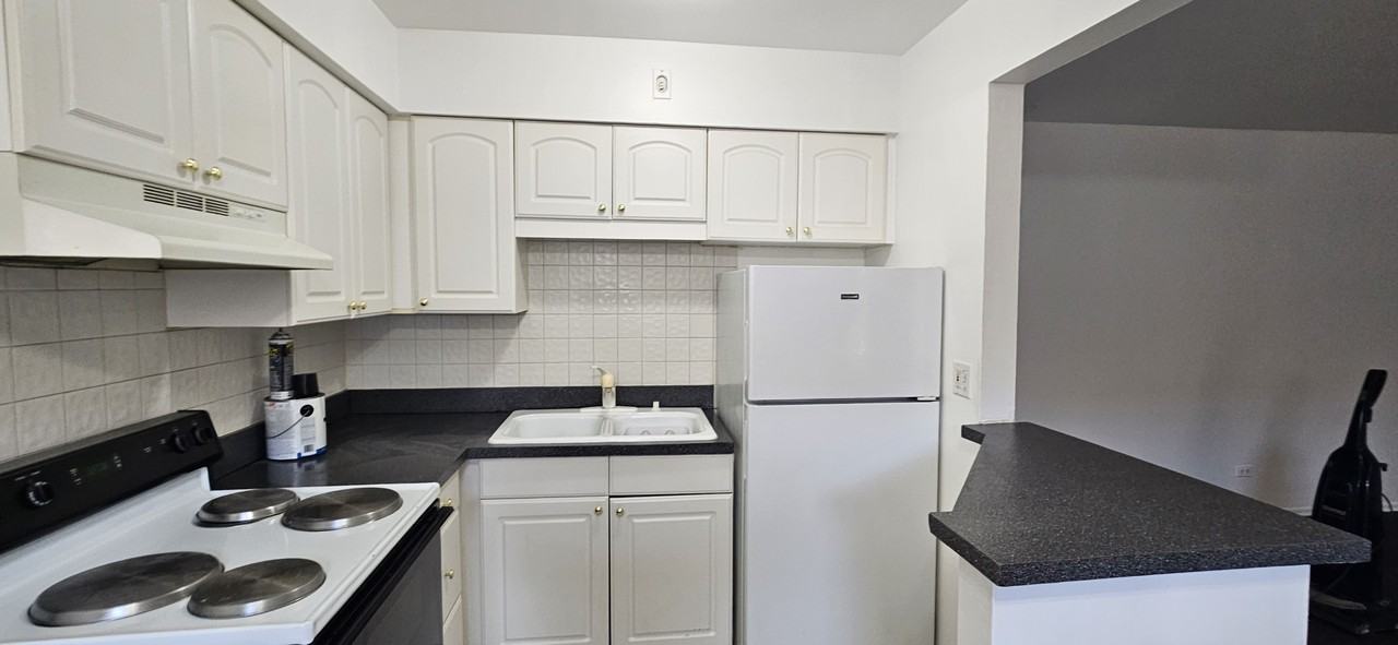 4039 S Harlem Ave #6 - Photo 3 of 20