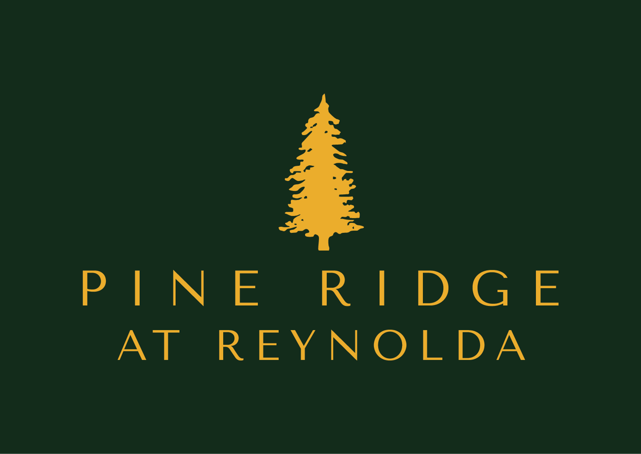 Pine Ridge at Reynolda - Photo 2 of 44
