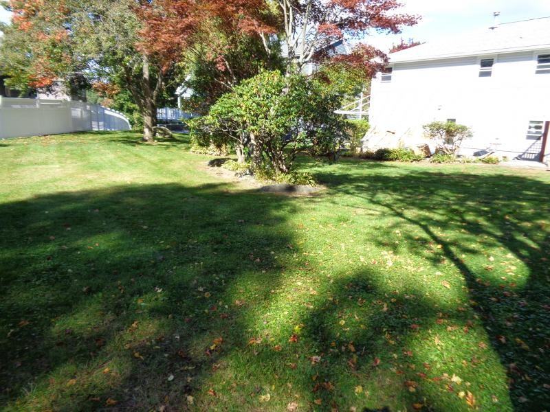 33 Rag Rock Dr - Photo 3 of 24