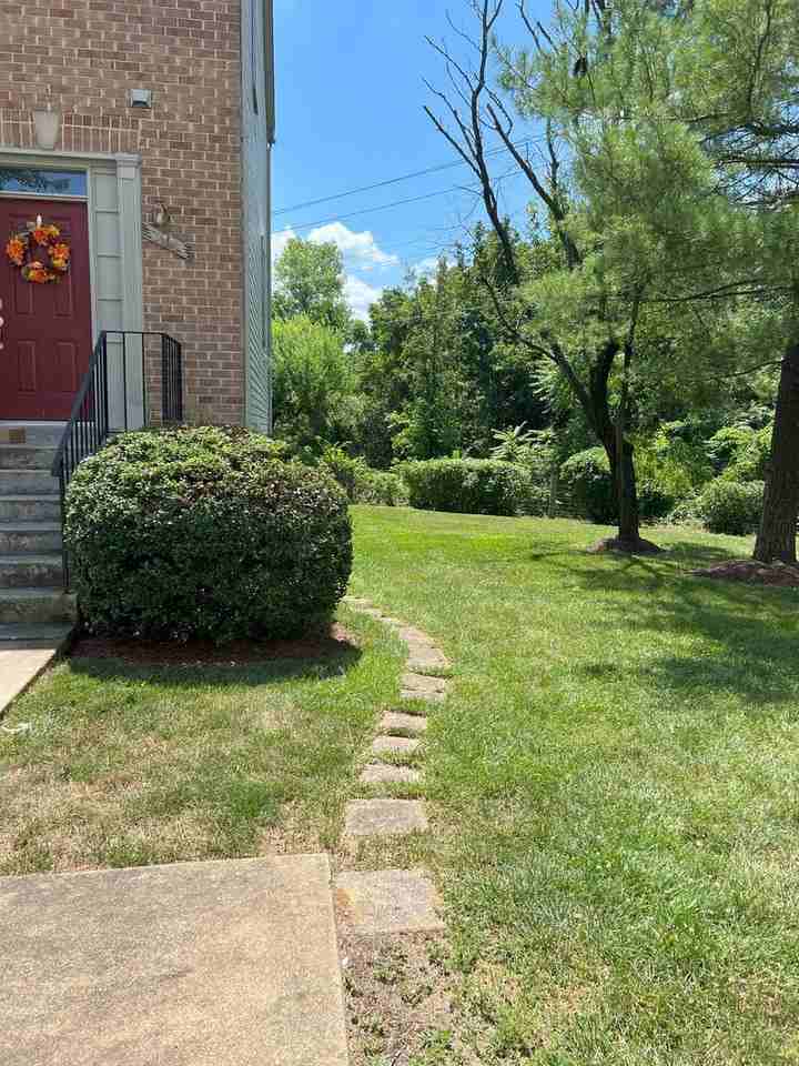 511 Davis  Ave SW Lower Level - Photo 2 of 10