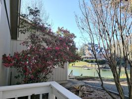 featured image of 4023 Windward Drive