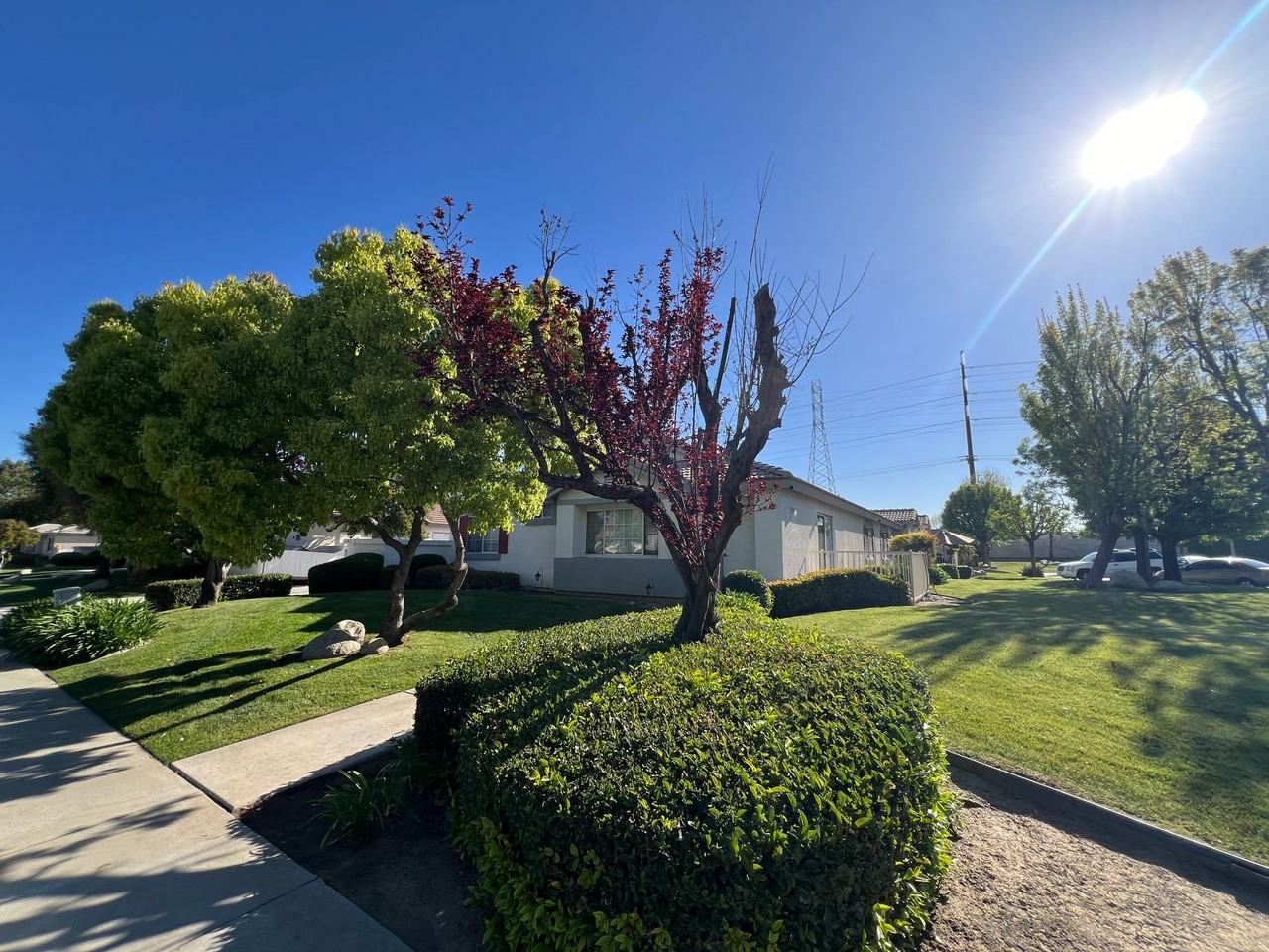 Pebble Creek Drive 4302 - Photo 2 of 19