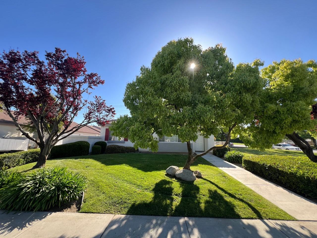 Pebble Creek Drive 4302 - Photo 3 of 19