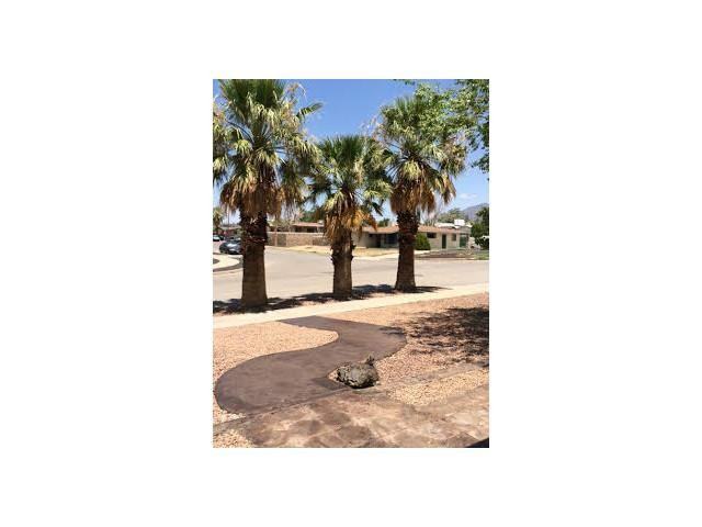 313 Olivia Cir - Photo 2 of 16