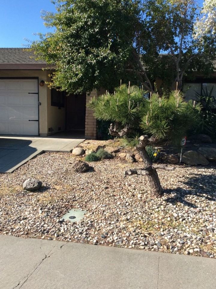 2225 Bueno Dr - Photo 2 of 22