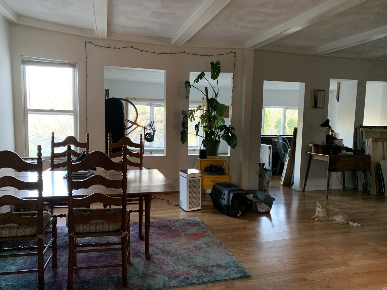 287 Alewife Brook Pkwy #2 - Photo 5 of 18