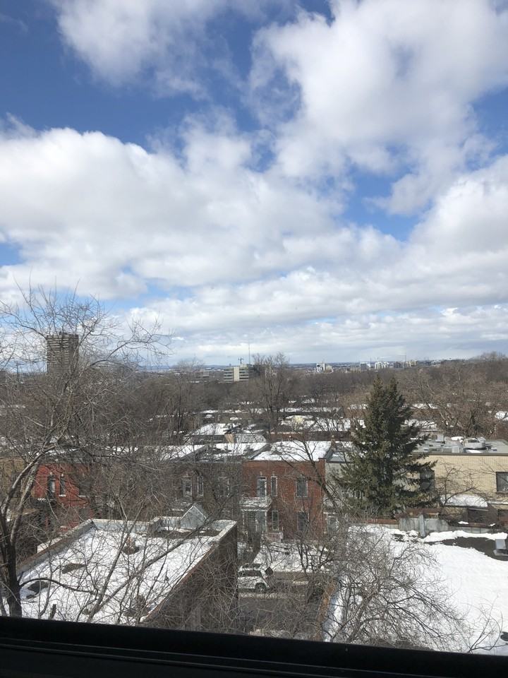 5245 Chemin de la Côte Saint Luc - Photo 6 of 8